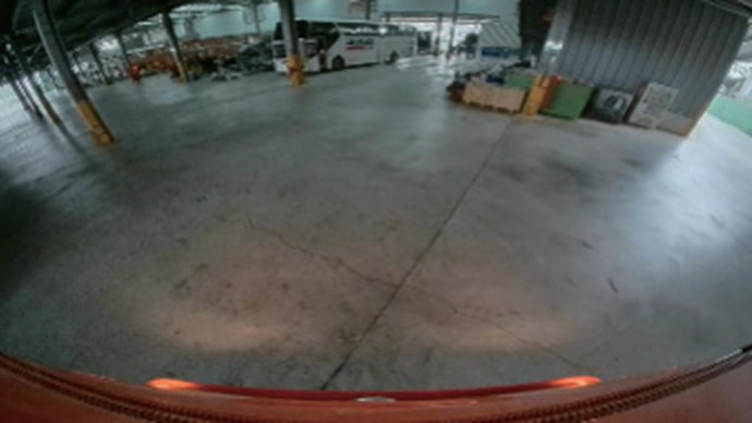 Driver display while reversing