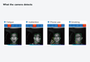 What the camera detects